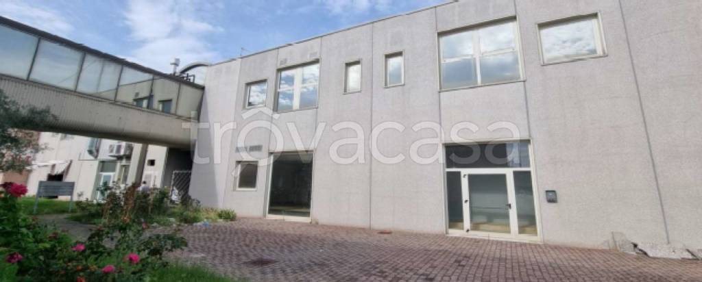 capannone in vendita a Casalmaggiore