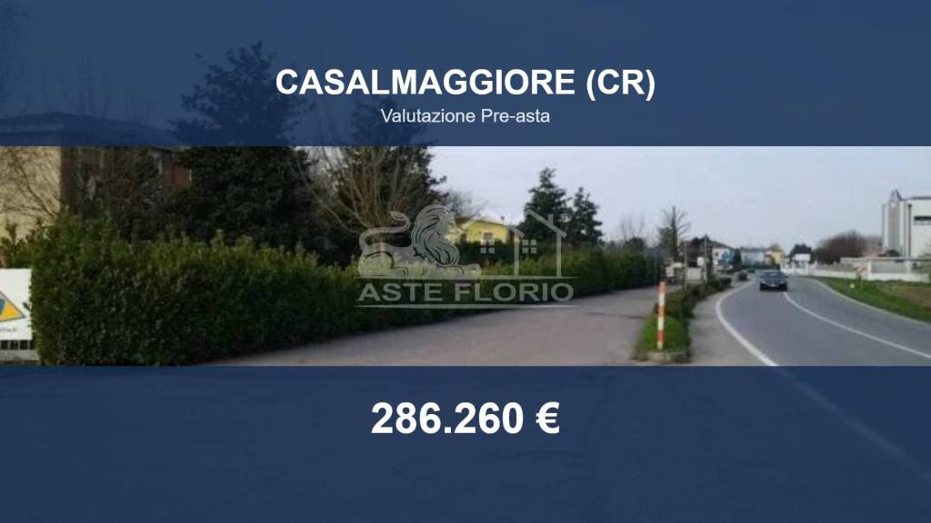 locale commerciale in vendita a Casalmaggiore in zona Casalbellotto