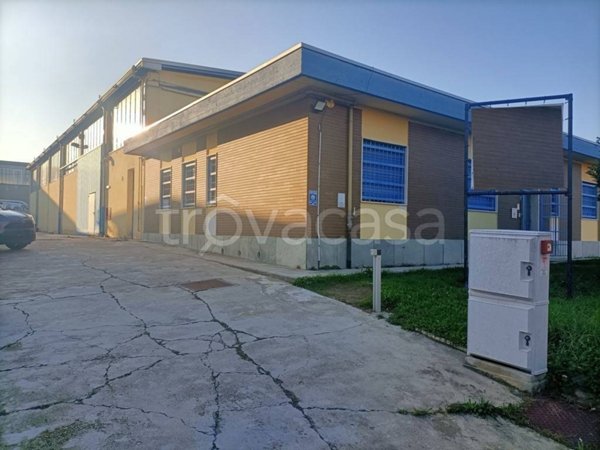 locale commerciale in vendita a Pianezza