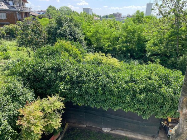 terreno edificabile in vendita a Pianezza