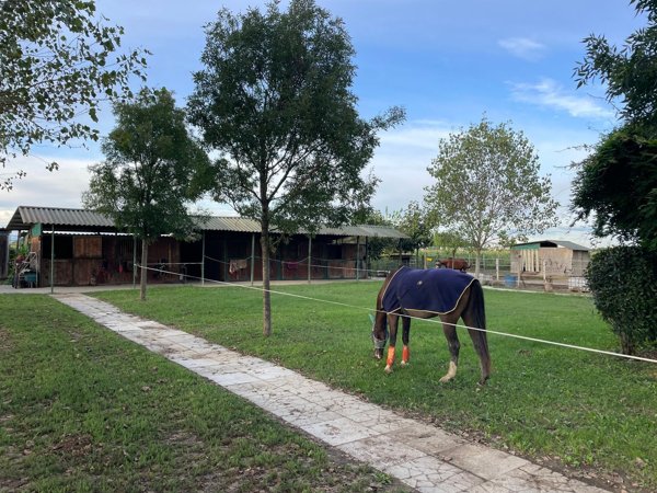 casa indipendente in vendita a Castelleone