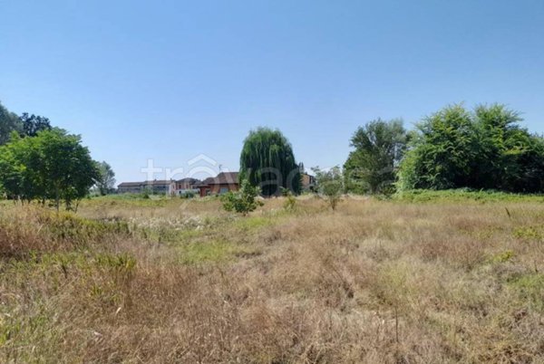 terreno agricolo in vendita a Castelverde