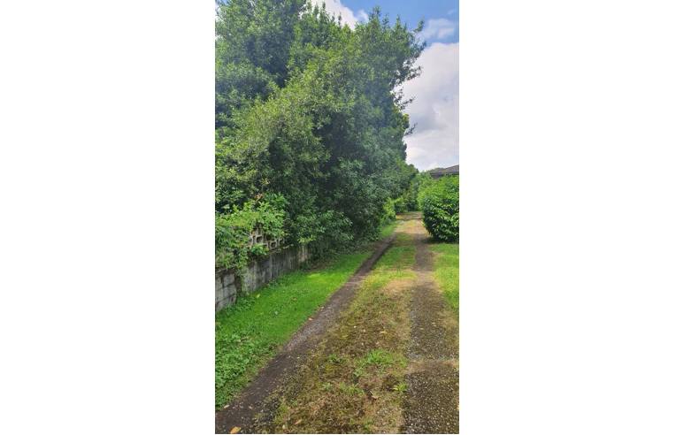 casa indipendente in vendita a Castelverde in zona San Martino in Beliseto