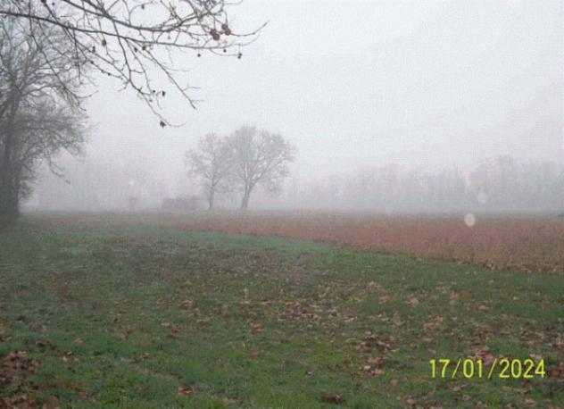 appartamento in vendita a Castelverde in zona Marzalengo