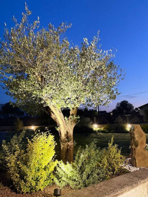 casa indipendente in vendita a Castelvisconti in zona Campagna