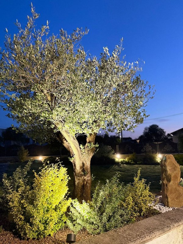 casa indipendente in vendita a Castelvisconti