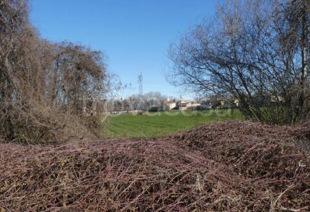 terreno agricolo in vendita a Chieve