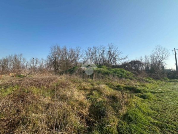 terreno agricolo in vendita a Chieve