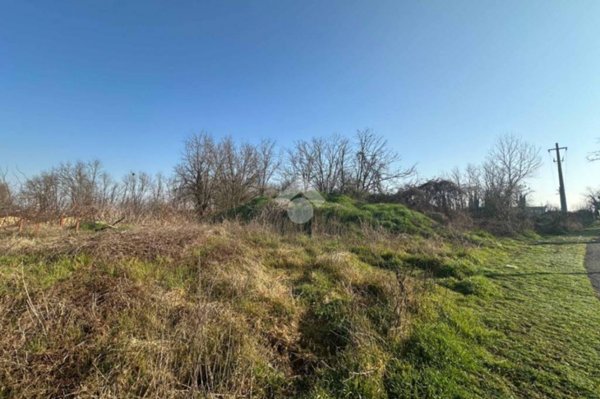 terreno agricolo in vendita a Chieve