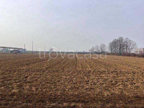 terreno agricolo in vendita a Corte de' Frati