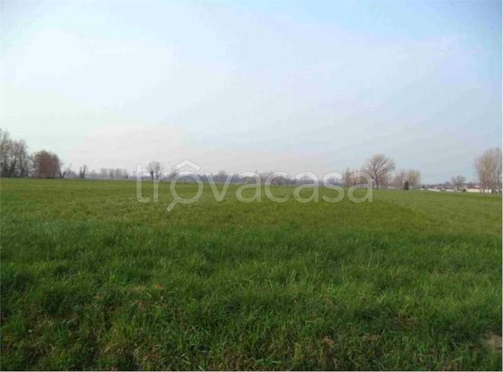 terreno agricolo in vendita a Credera Rubbiano in zona Rubbiano