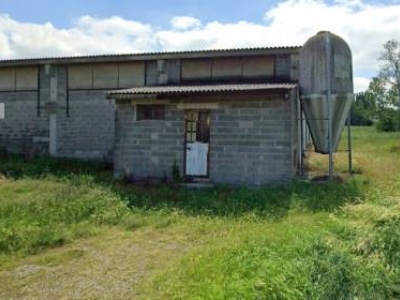 terreno agricolo in vendita a Crema