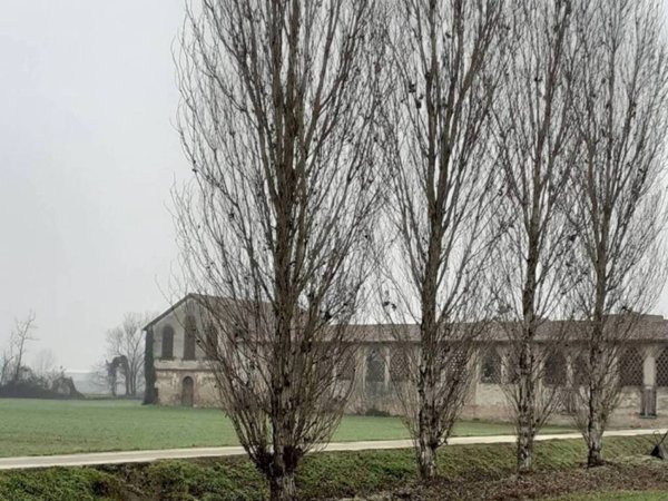 casa indipendente in vendita a Crema