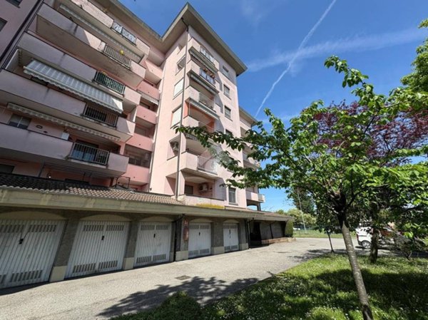 immagine annuncio 0 di 15