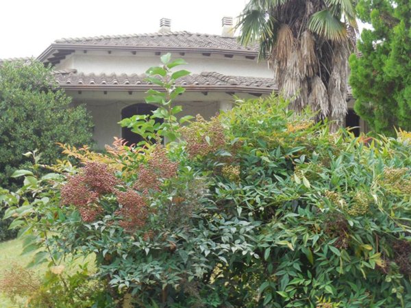 casa indipendente in vendita a Crema