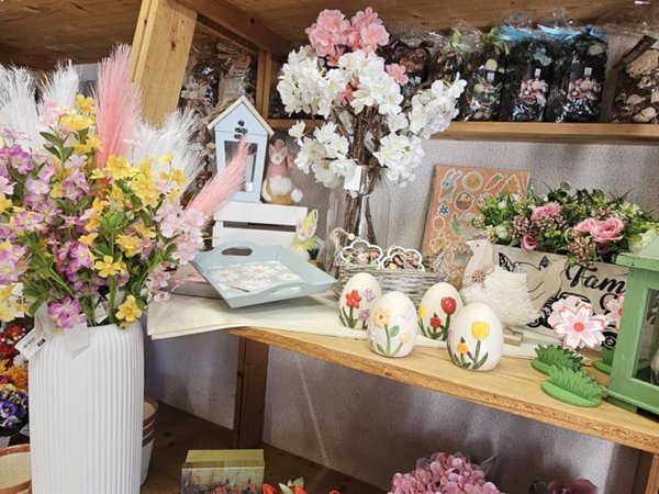 negozio in vendita a Crema