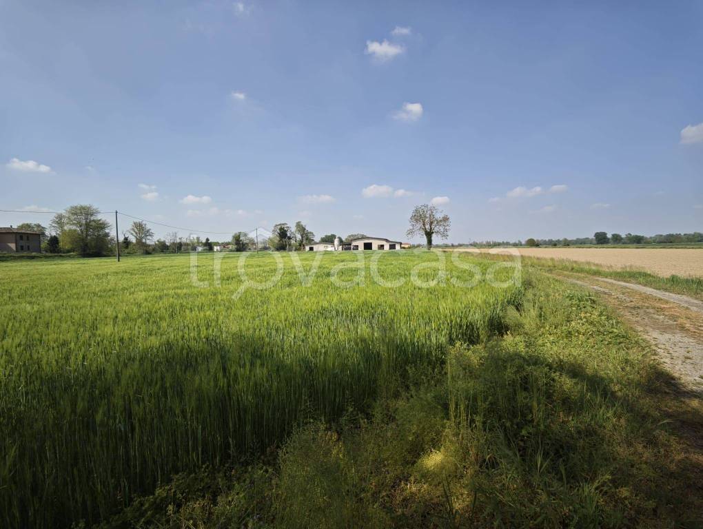 casa semindipendente in vendita a Crema
