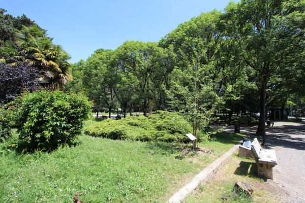 appartamento in vendita a Crema