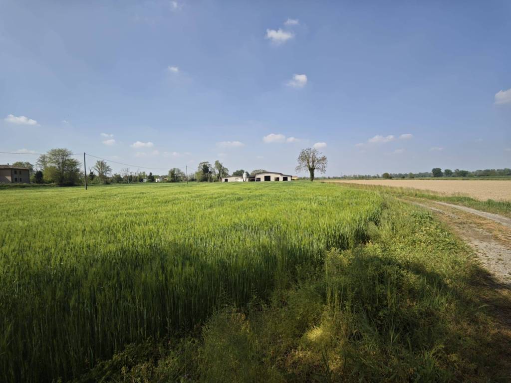 terreno agricolo in vendita a Crema
