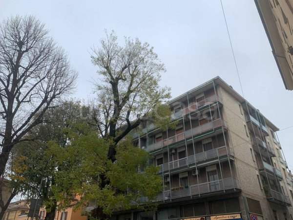 appartamento in vendita a Cremona in zona Cremona Centro