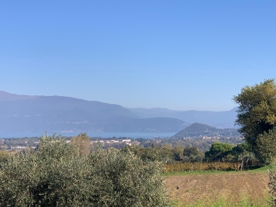casa indipendente in vendita a Cremona in zona Viale Po