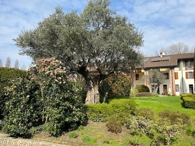 appartamento in vendita a Cremona in zona Via Giuseppina