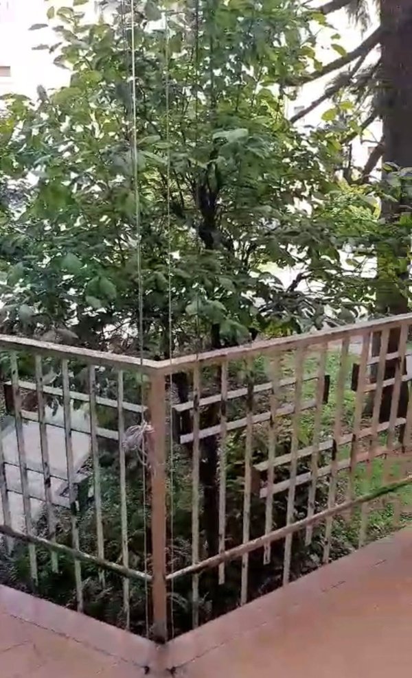 appartamento in vendita a Cremona