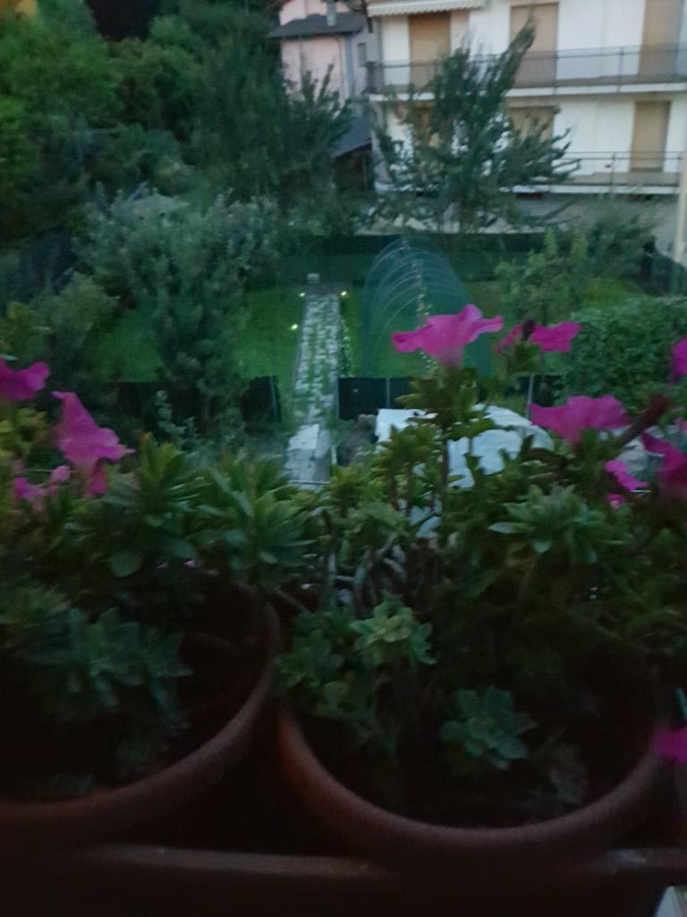 appartamento in vendita a Pinasca in zona Dubbione