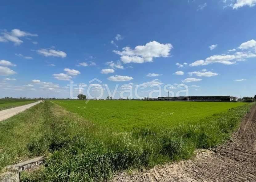 terreno agricolo in vendita a Formigara