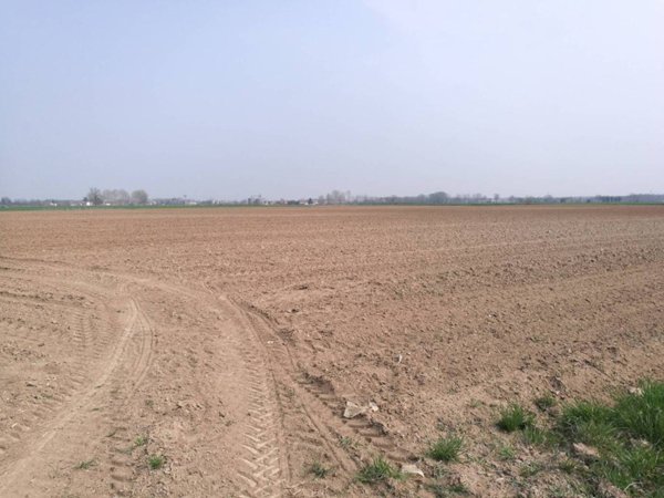 terreno agricolo in vendita a Gussola