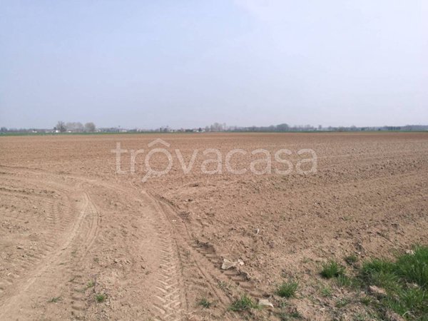terreno agricolo in vendita a Gussola