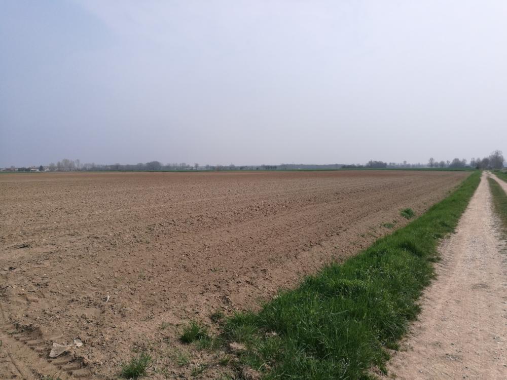 terreno agricolo in vendita a Gussola