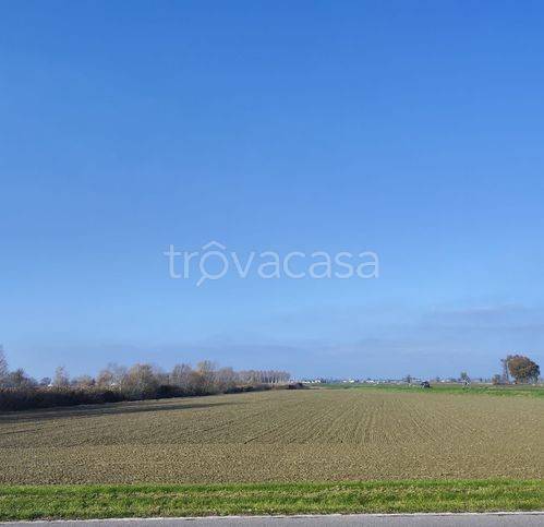 terreno agricolo in vendita a Gussola