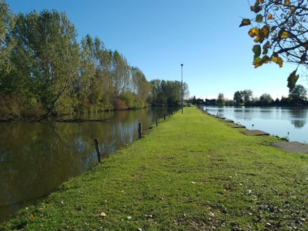 casa indipendente in vendita a Gussola