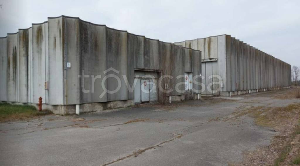 locale commerciale in vendita ad Isola Dovarese