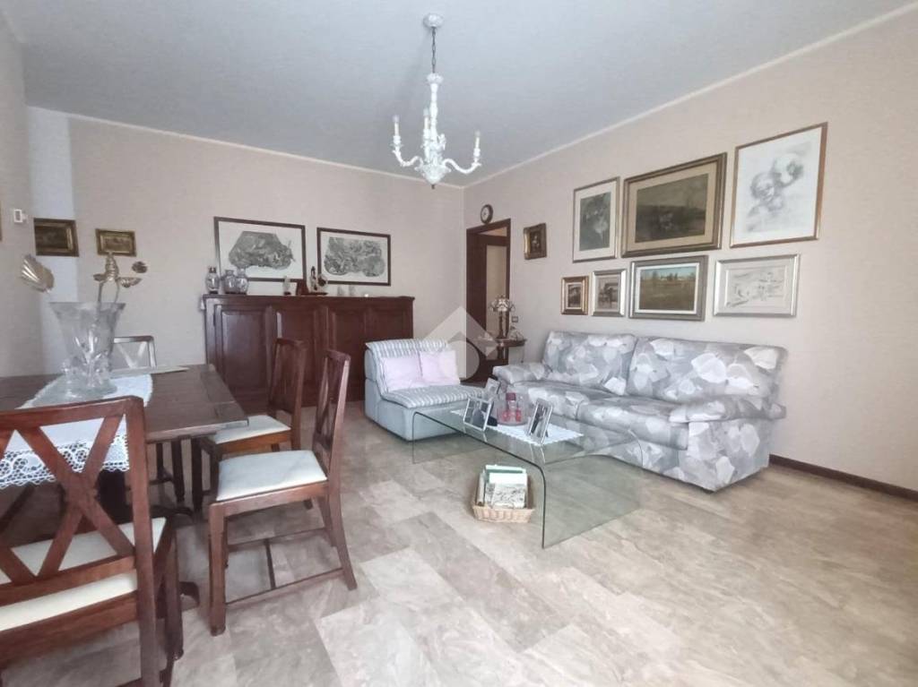 immagine annuncio 0 di 15