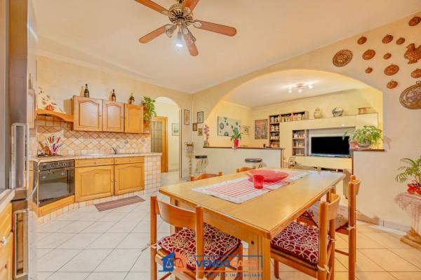 immagine annuncio 0 di 15