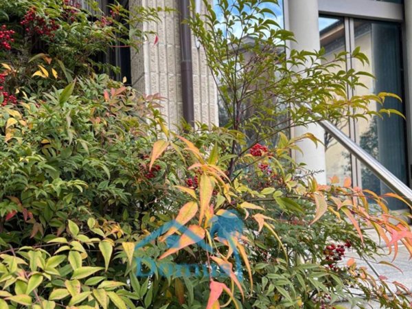 casa indipendente in vendita a Pinerolo