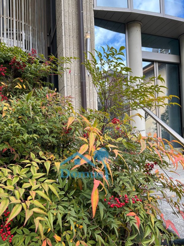 immagine annuncio 0 di 10