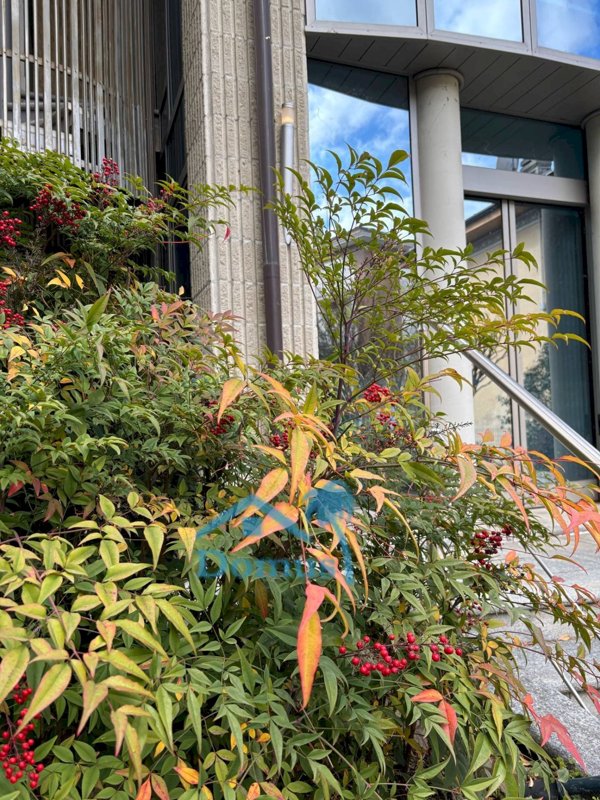 casa indipendente in vendita a Pinerolo