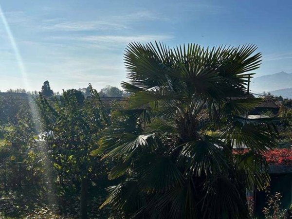 appartamento in vendita a Pinerolo