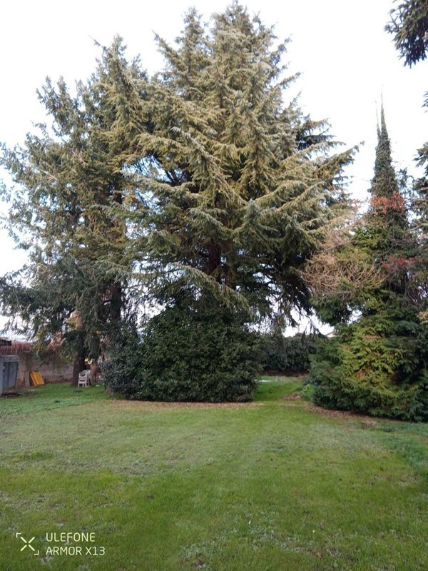 casa indipendente in vendita a Pinerolo