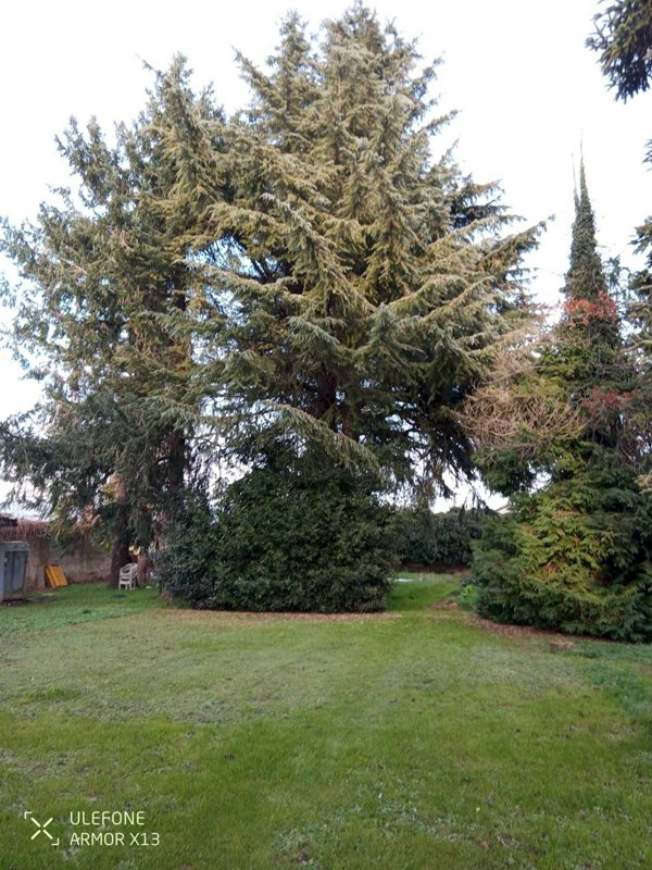 casa indipendente in vendita a Pinerolo