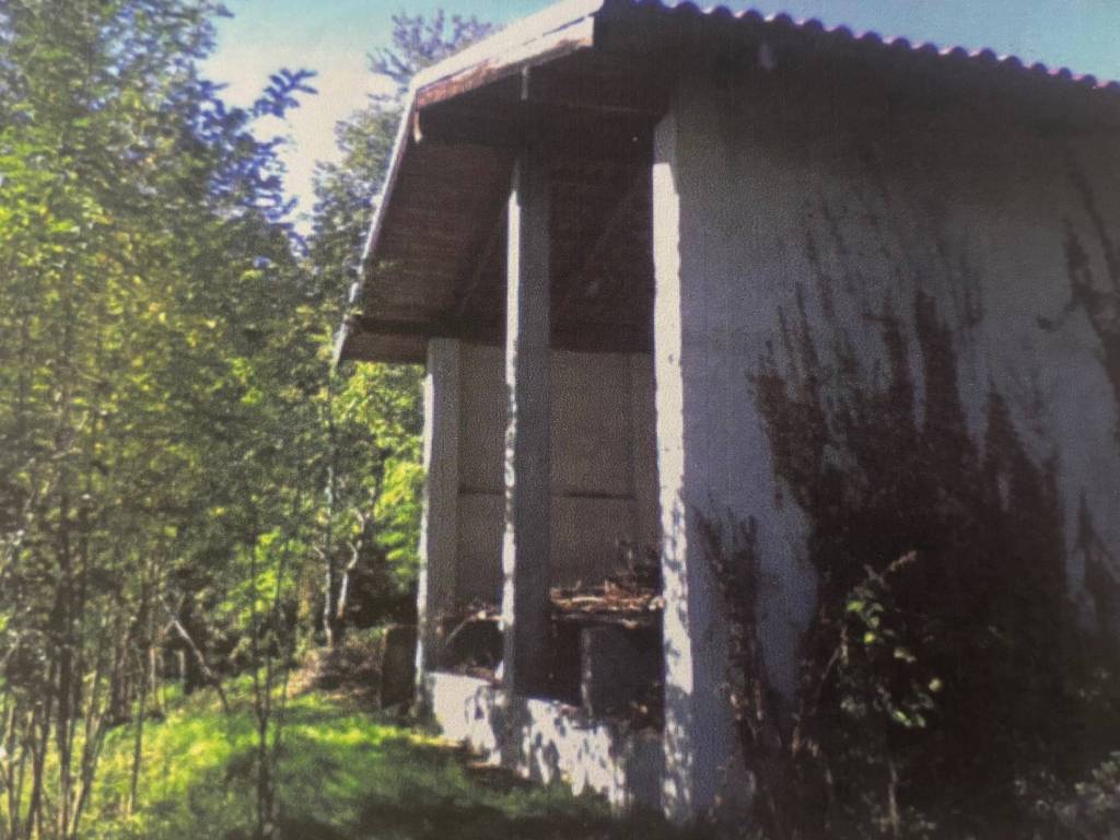 casa indipendente in vendita a Pinerolo in zona Abbadia Alpina