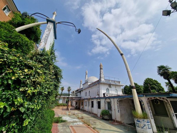 intera palazzina in vendita a Pinerolo