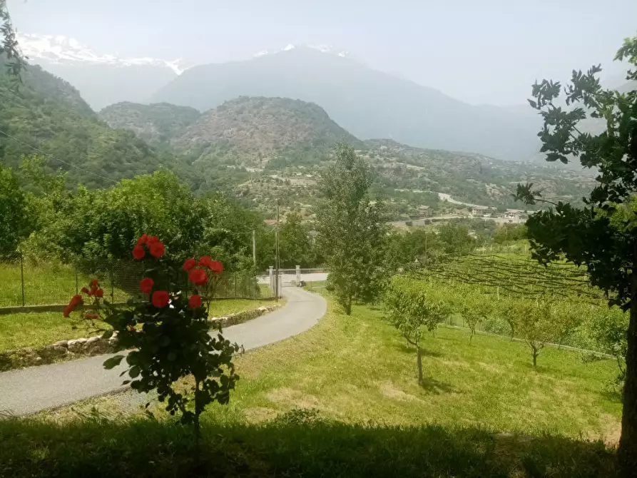 negozio in vendita a Pinerolo