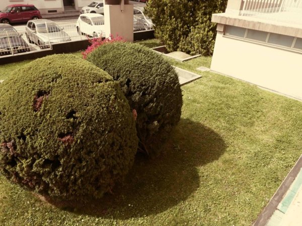 appartamento in vendita a Pinerolo