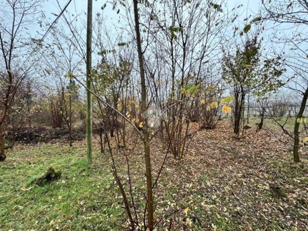 terreno edificabile in vendita a Pinerolo in zona Baudenasca