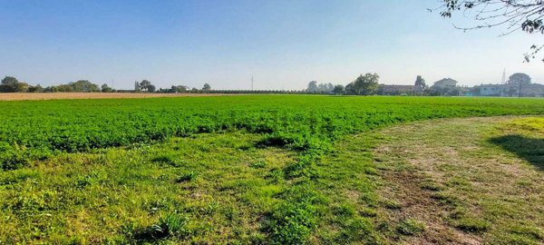 terreno edificabile in vendita a Pinerolo in zona Baudenasca