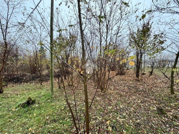 terreno edificabile in vendita a Pinerolo in zona Baudenasca